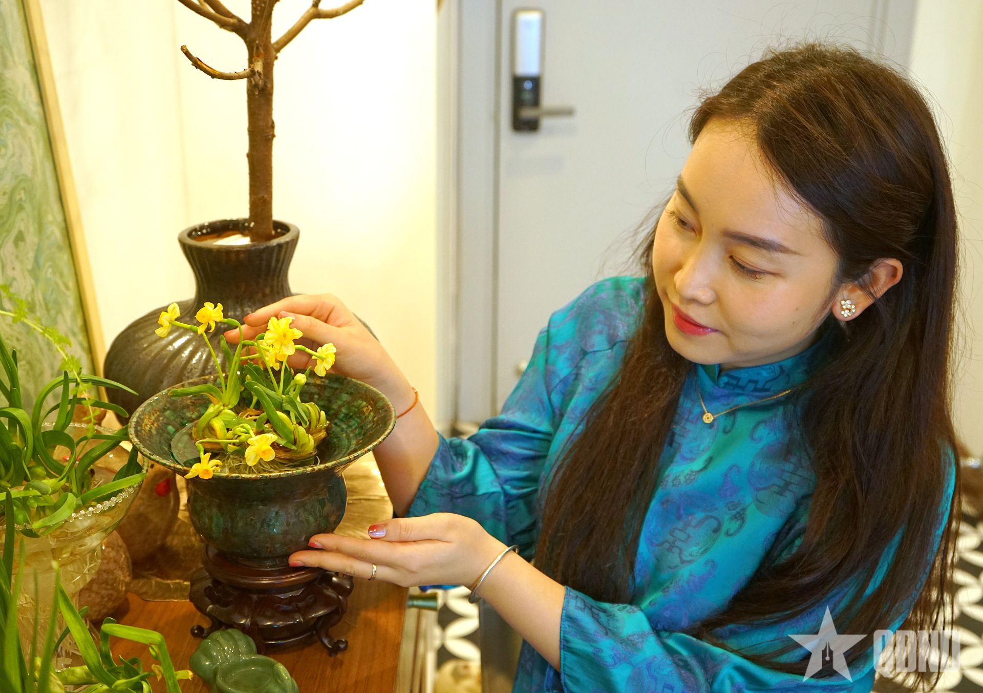 Hoa thủy tiên gọi Tết về 